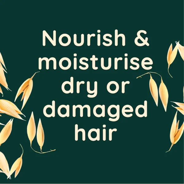 nourish_moisturise_dry_or_damaged_hair_0_1-en-gb-Aveeno AVEENO® DAILY MOISTURE+ OAT MILK BLEND SHAMPOO